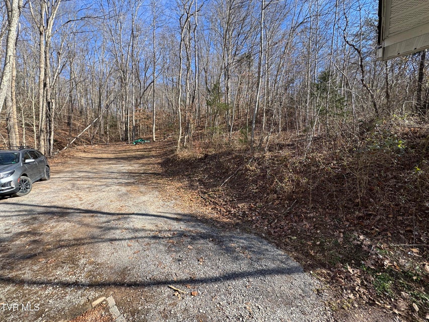 Photo #12: 2210 Carter Street