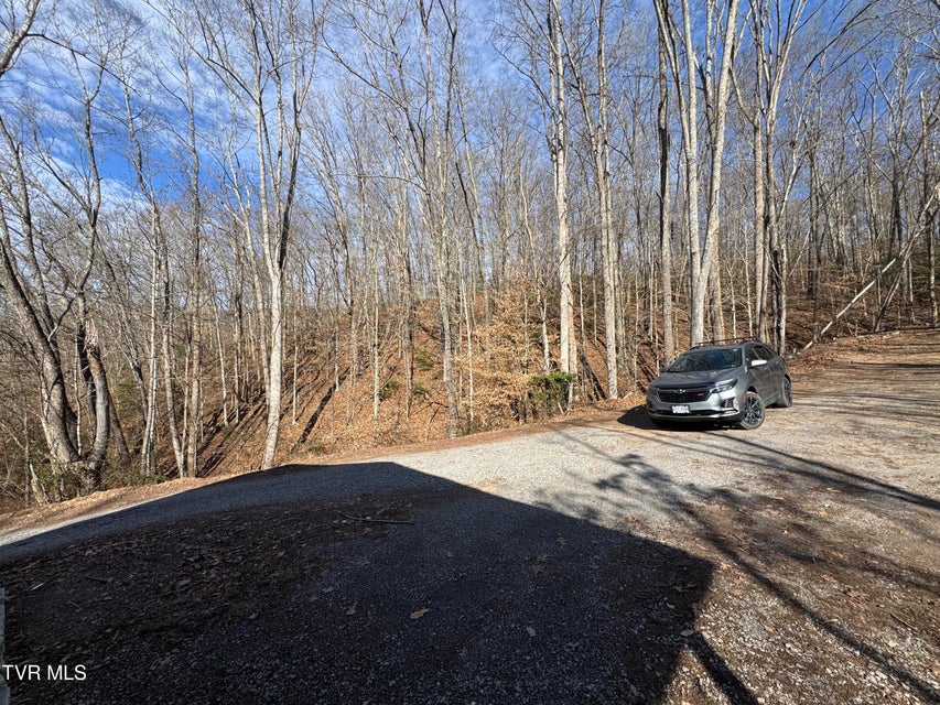 Photo #13: 2210 Carter Street