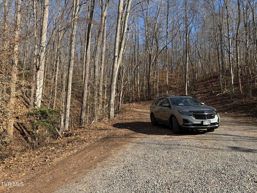 Photo #14: 2210 Carter Street