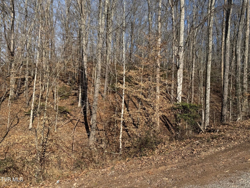 Photo #15: 2210 Carter Street