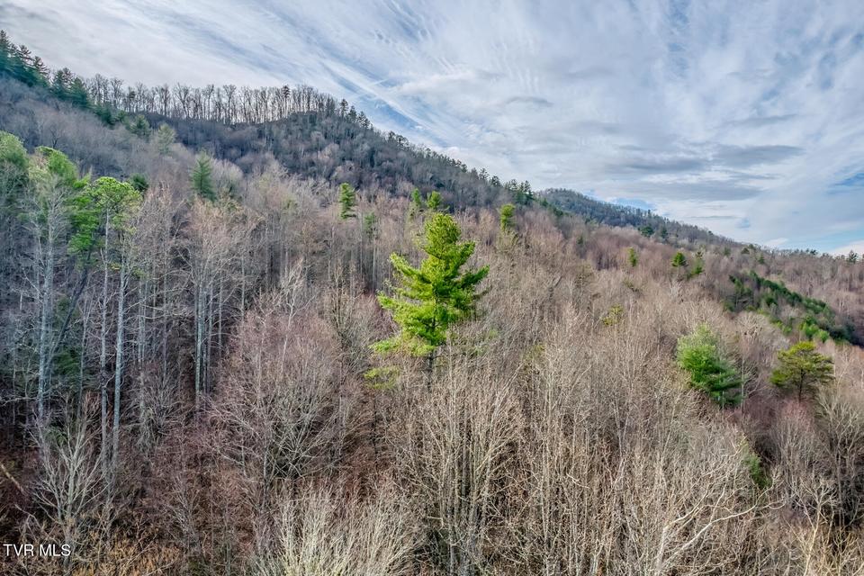 Photo #10: 902 R D Campbell Road