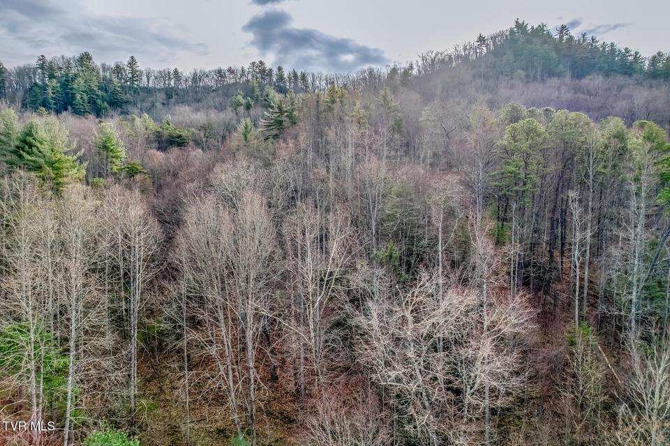 Photo #12: 902 R D Campbell Road