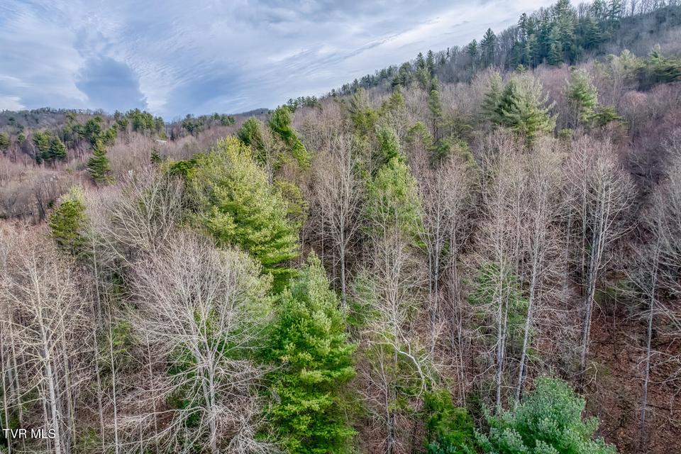 Photo #13: 902 R D Campbell Road