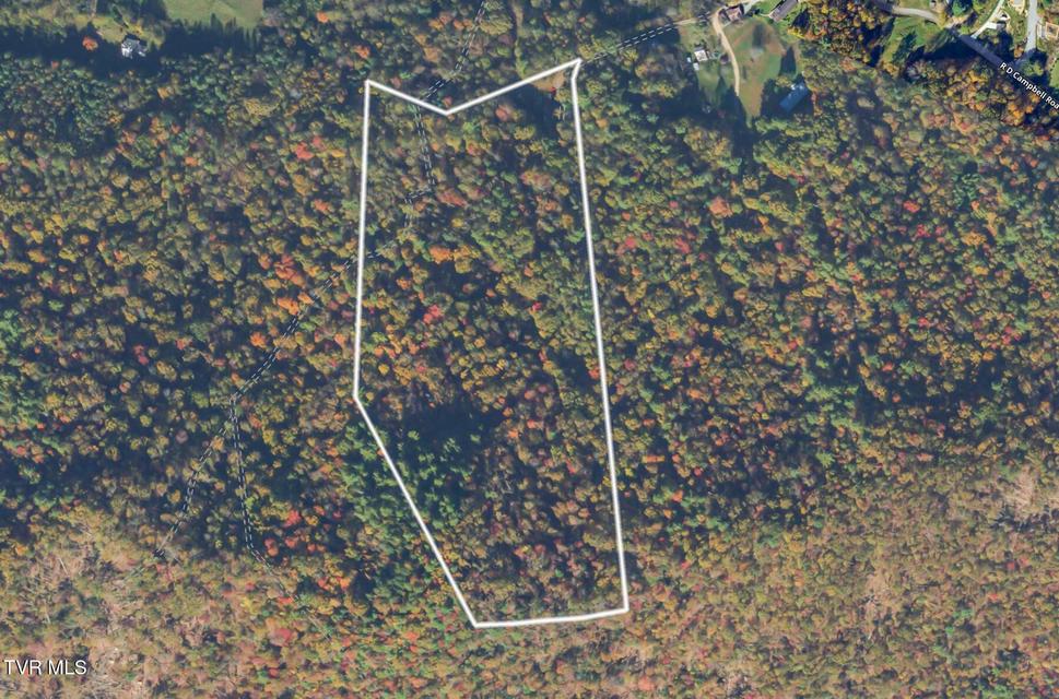 Photo #14: 902 R D Campbell Road