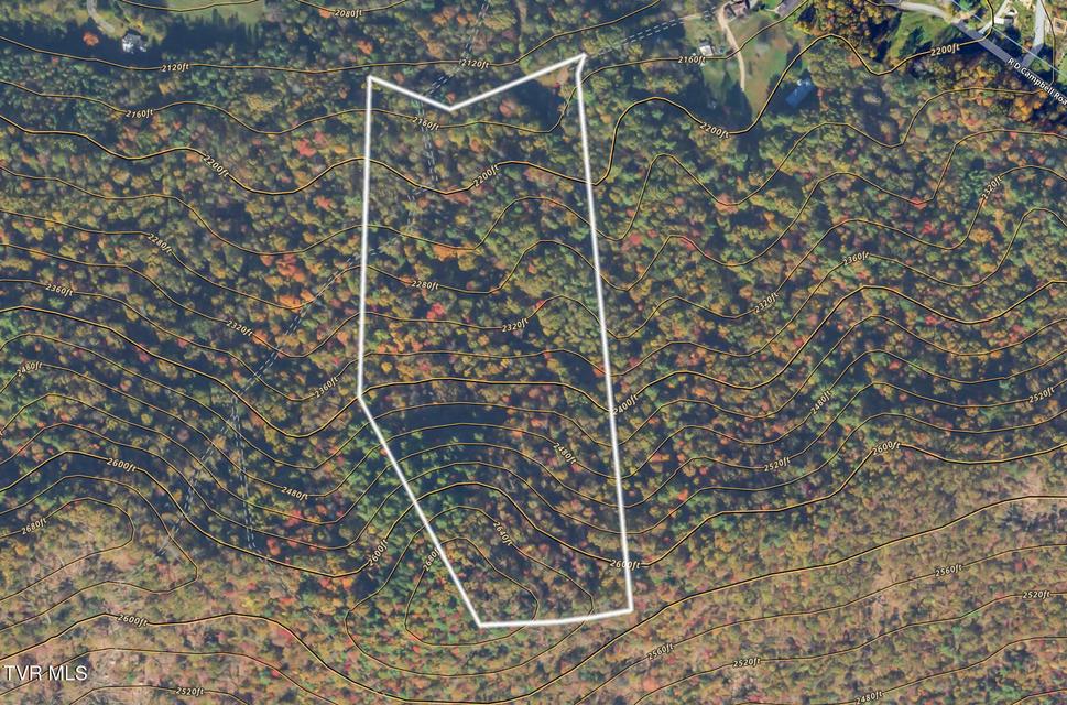 Photo #15: 902 R D Campbell Road