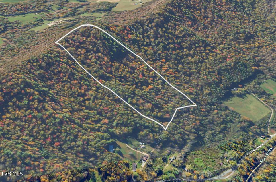 Photo #16: 902 R D Campbell Road