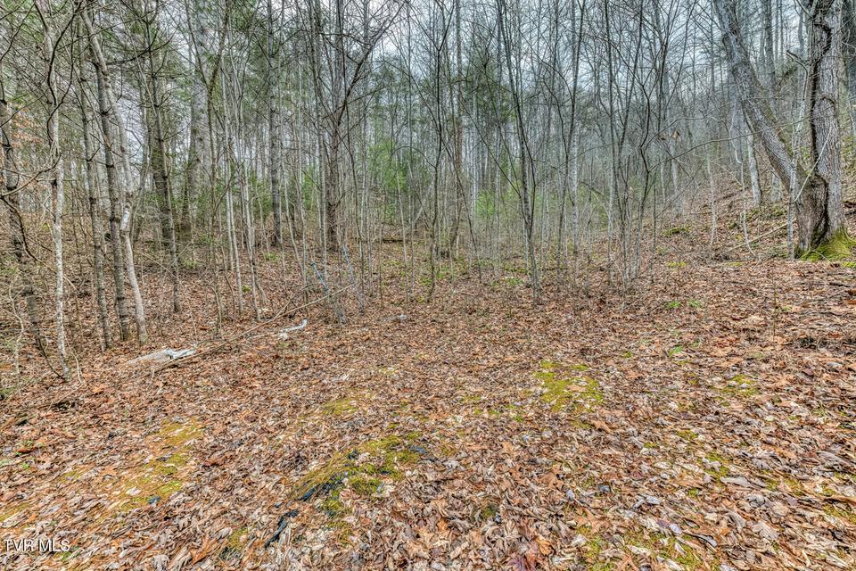 Photo #5: 902 R D Campbell Road