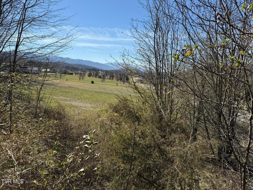 Photo #2: Lot 62 Secluded River Circle 