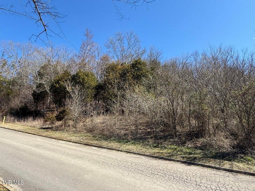 Photo #3: Lot 62 Secluded River Circle 
