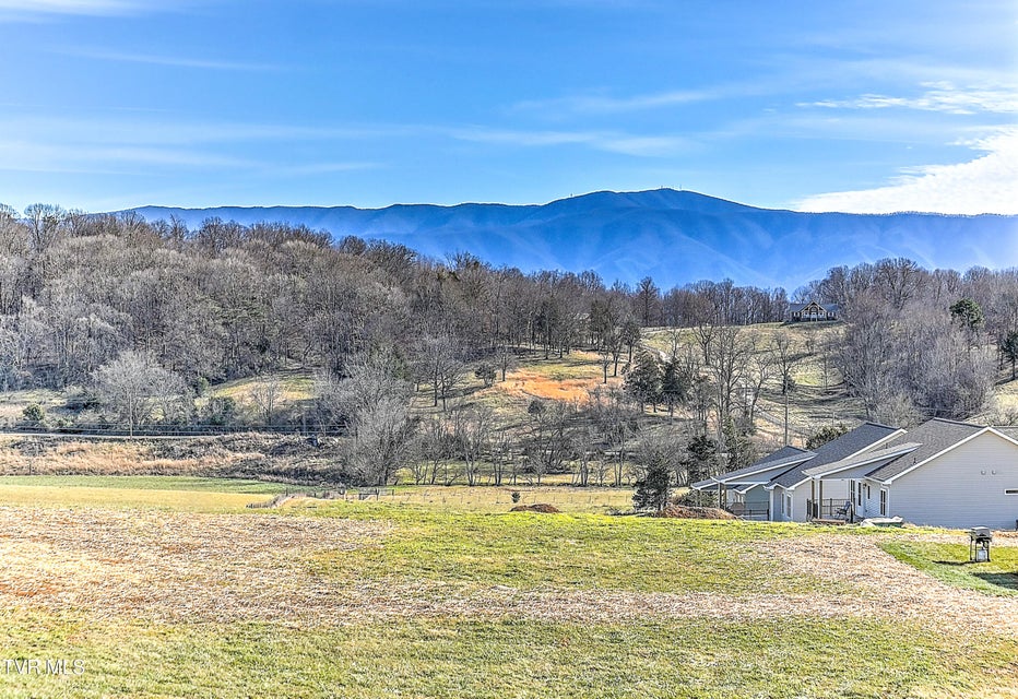 Photo #95: 115 Red Tail Ridge