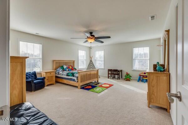 Photo #43: 619 Suffolk Road