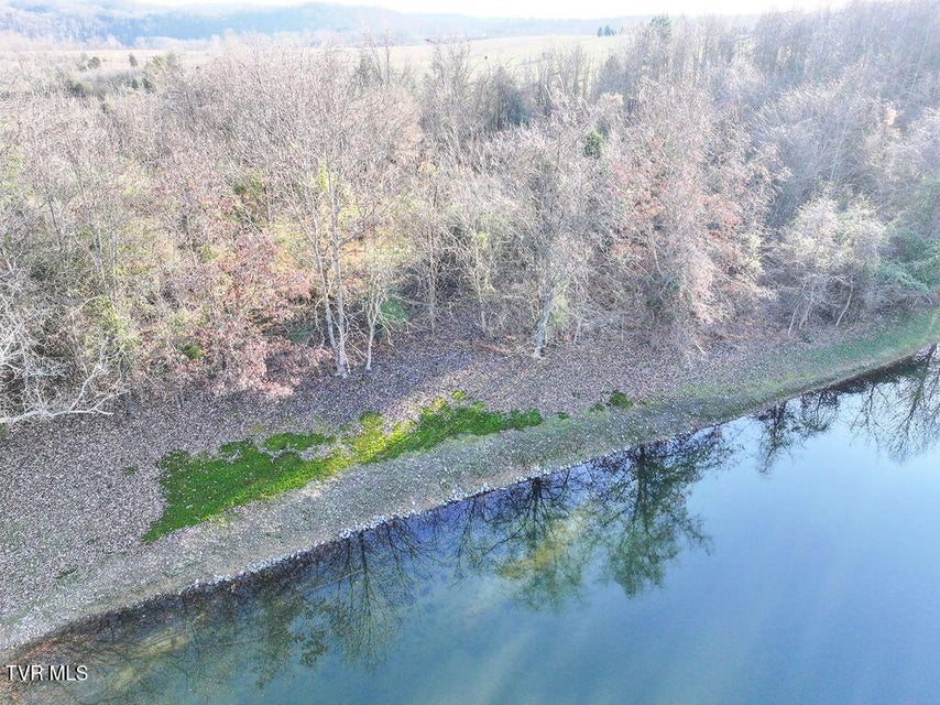 Photo #25: 148 Reynolds Avenue