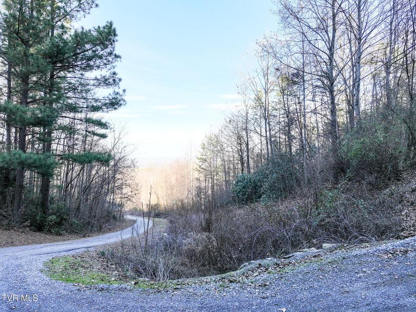 Photo #18: 1243 Applewood Road