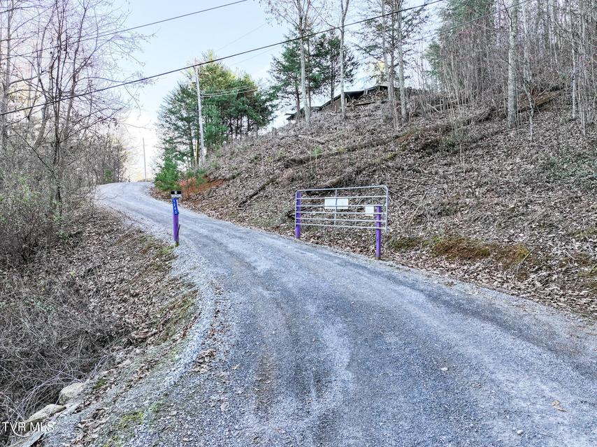 Photo #19: 1243 Applewood Road