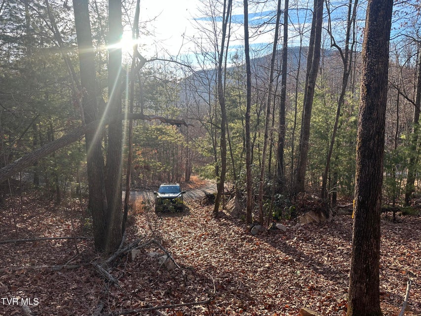 Photo #14: Tbd Kaitlyn Road