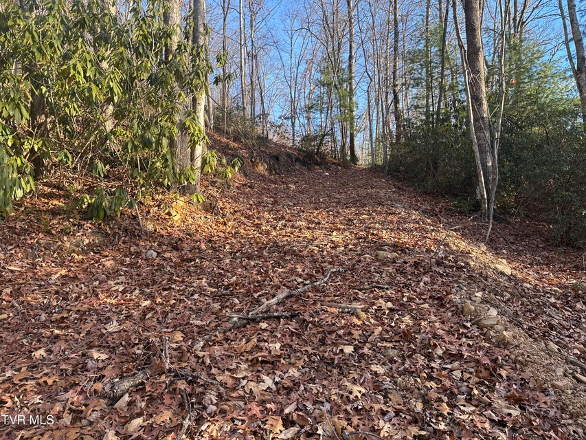 Photo #15: Tbd Kaitlyn Road