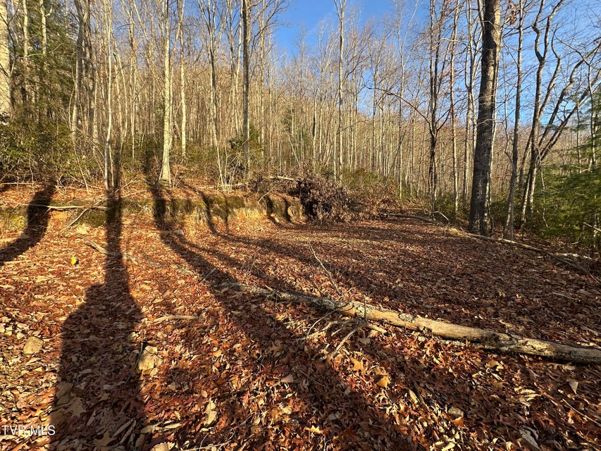 Photo #18: Tbd Kaitlyn Road