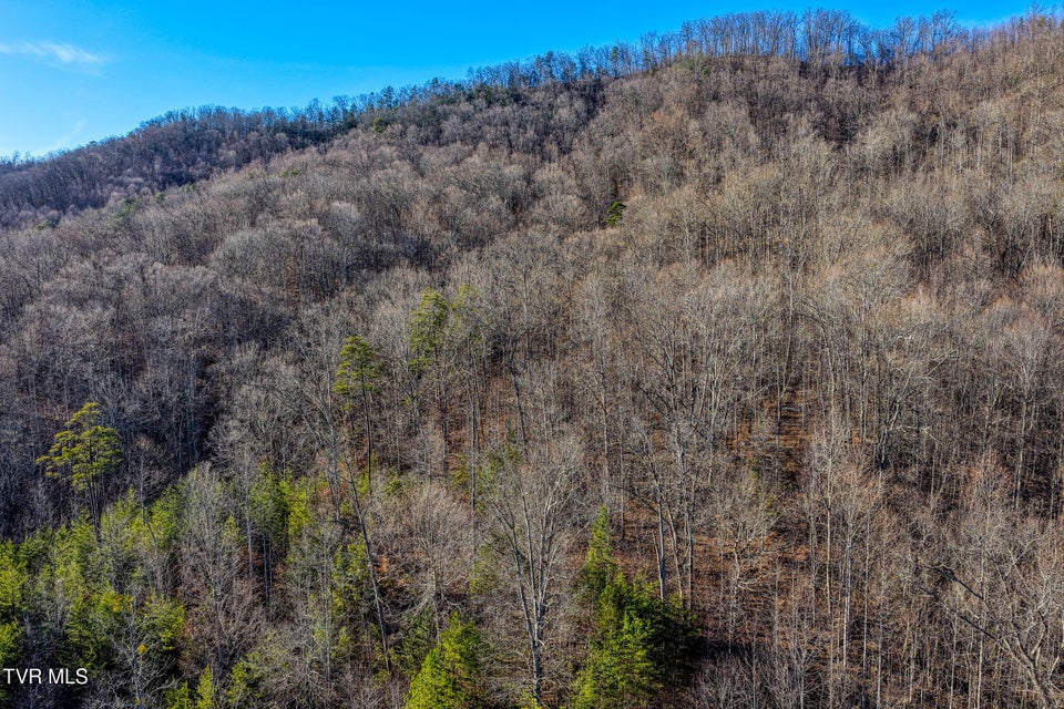 Photo #10: 770 Butcher Valley Road