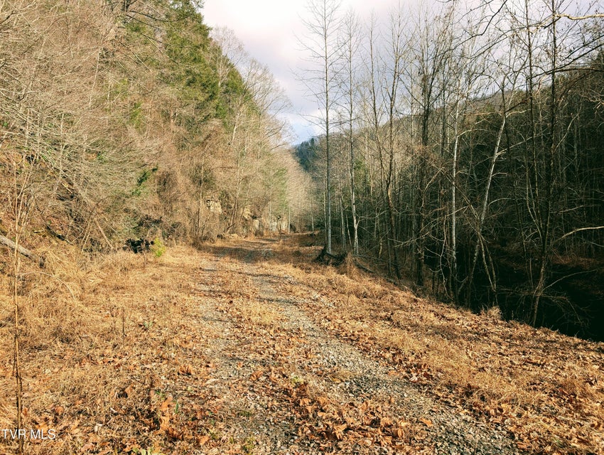 Photo #4: Tbd Rockhouse Road