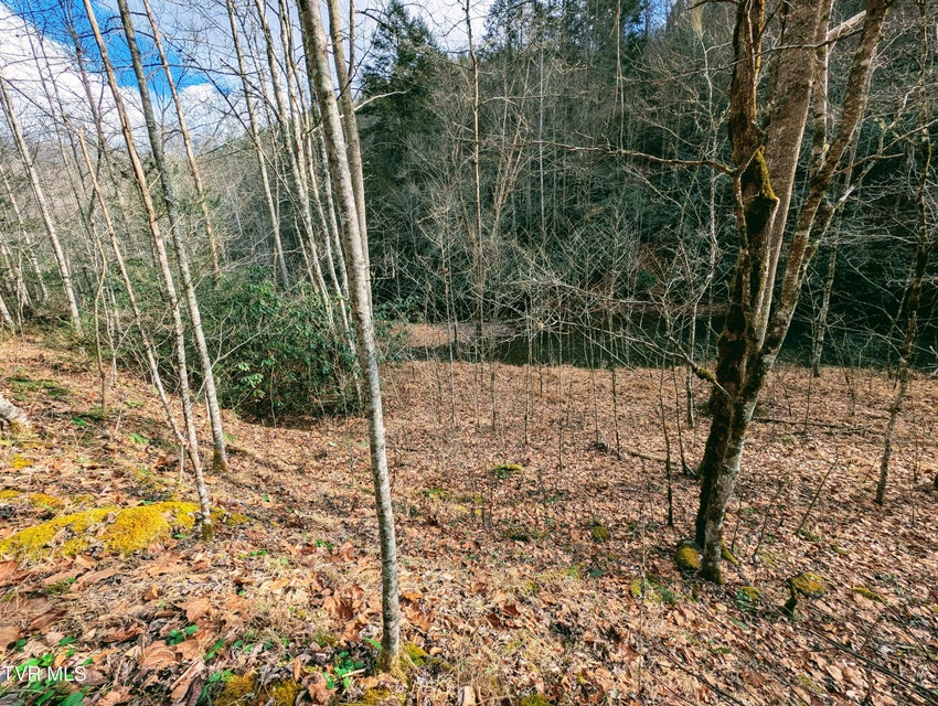 Photo #12: Tbd Rockhouse Road