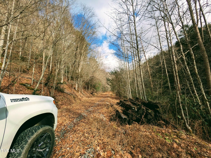 Photo #14: Tbd Rockhouse Road