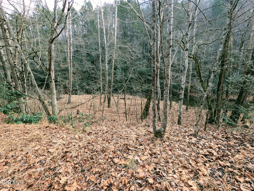 Photo #16: Tbd Rockhouse Road