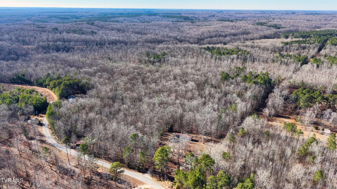 Photo #4: 0 Allen Mill Avenue