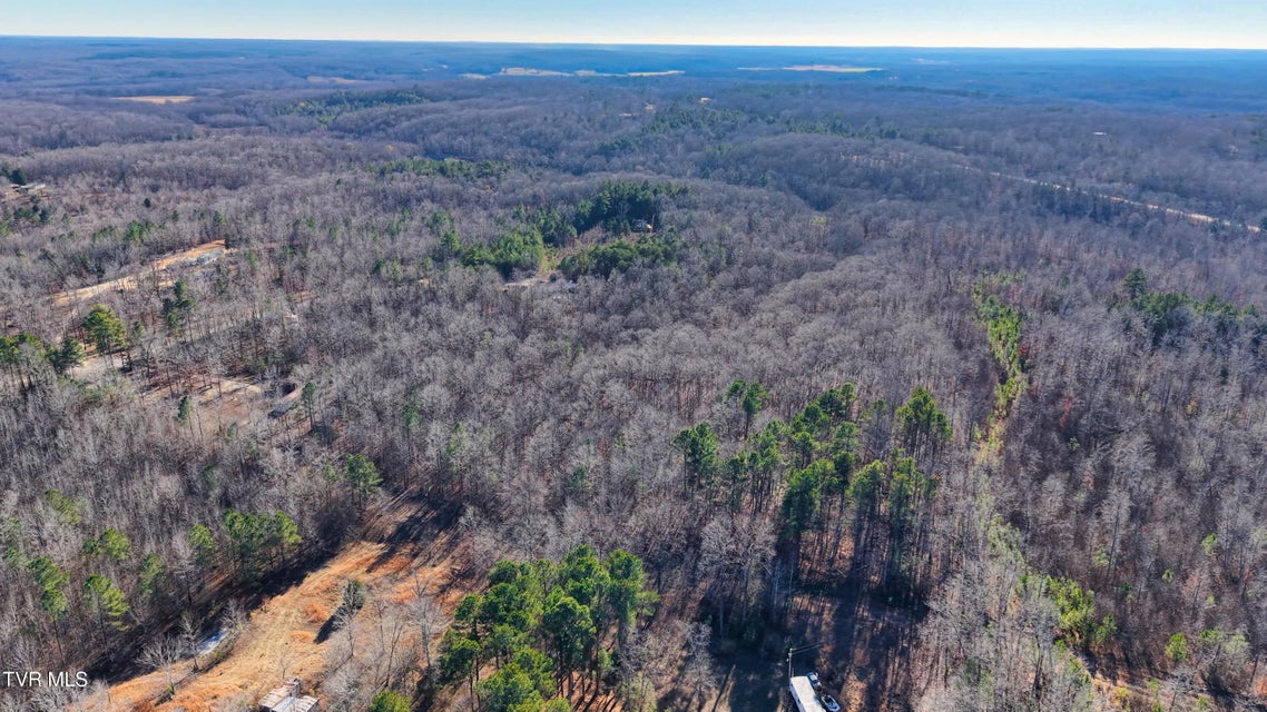 Photo #7: 0 Allen Mill Avenue