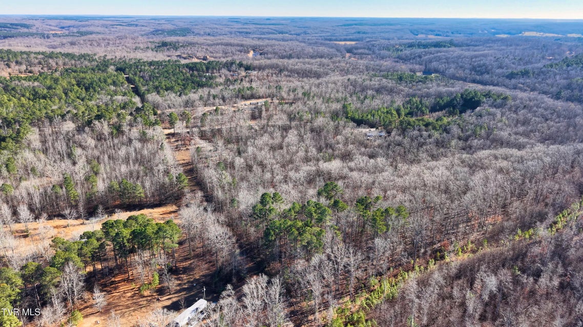 Photo #8: 0 Allen Mill Avenue