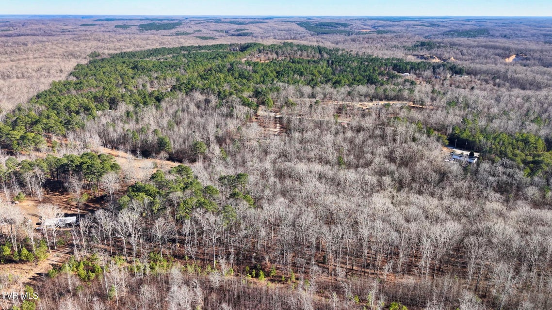 Photo #9: 0 Allen Mill Avenue