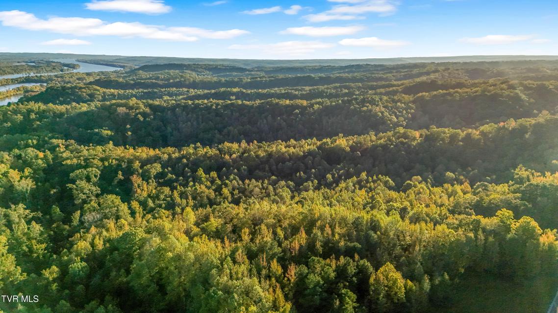 Photo #5: 0 Ward Hill Road