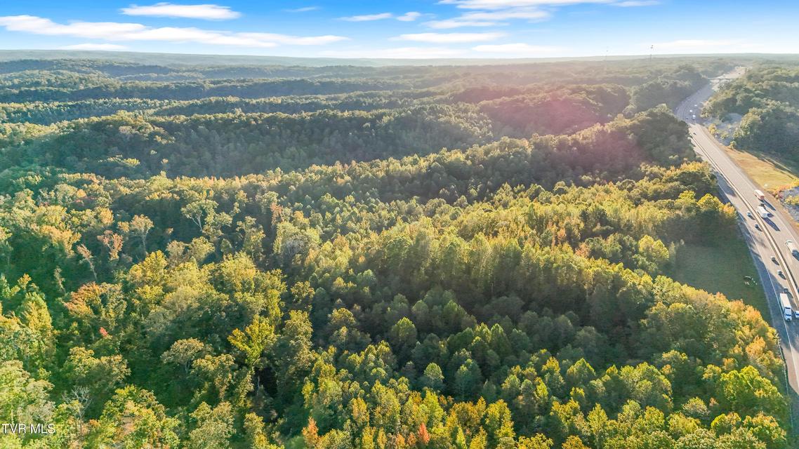 Photo #8: 0 Ward Hill Road