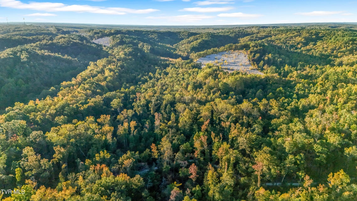 Photo #10: 0 Ward Hill Road