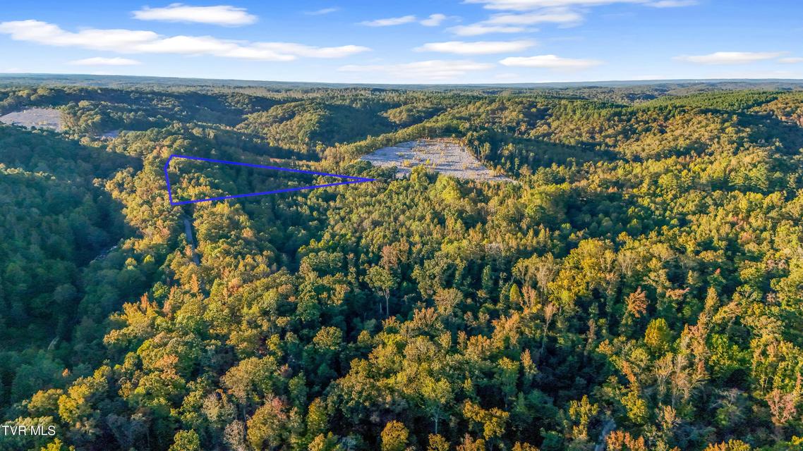 Photo #12: 0 Ward Hill Road