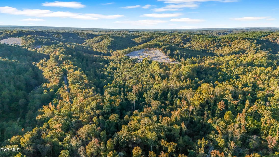 Photo #13: 0 Ward Hill Road