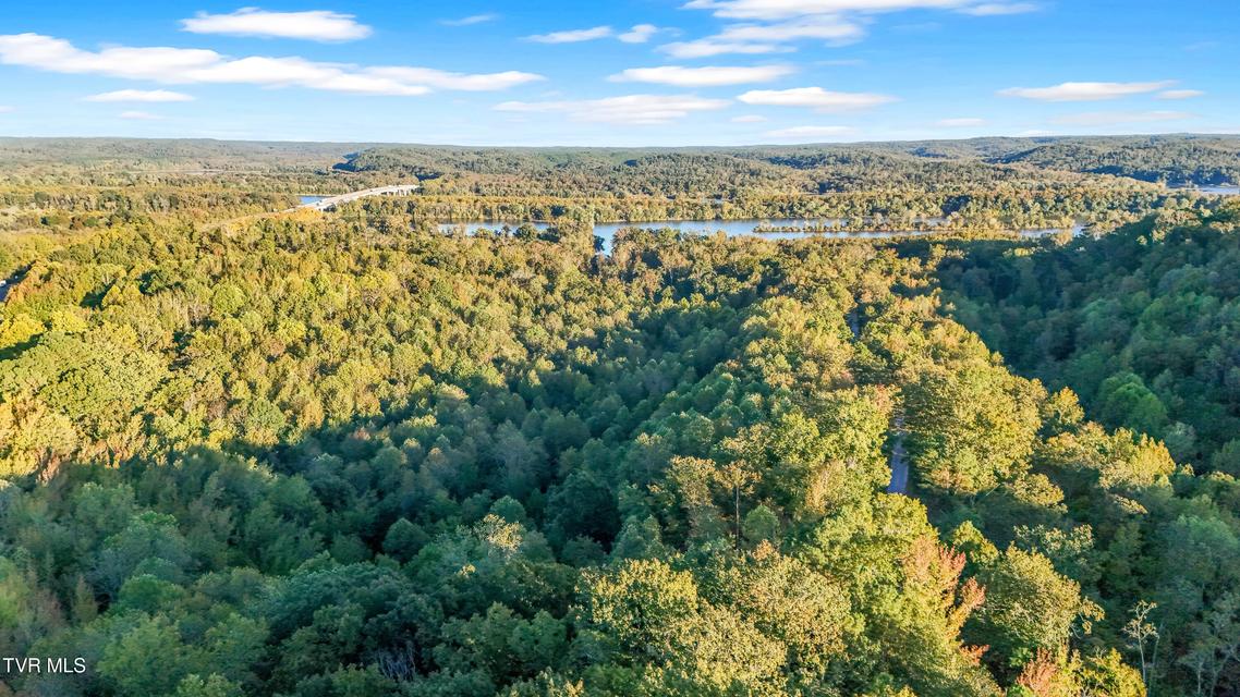 Photo #16: 0 Ward Hill Road