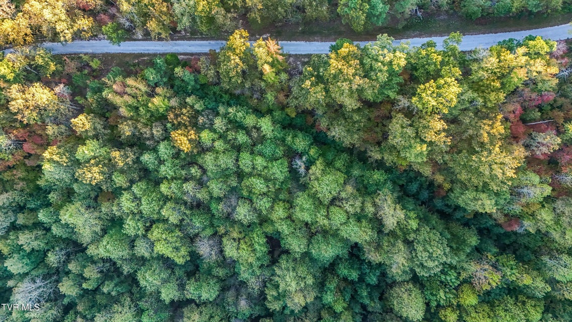 Photo #17: 0 Ward Hill Road