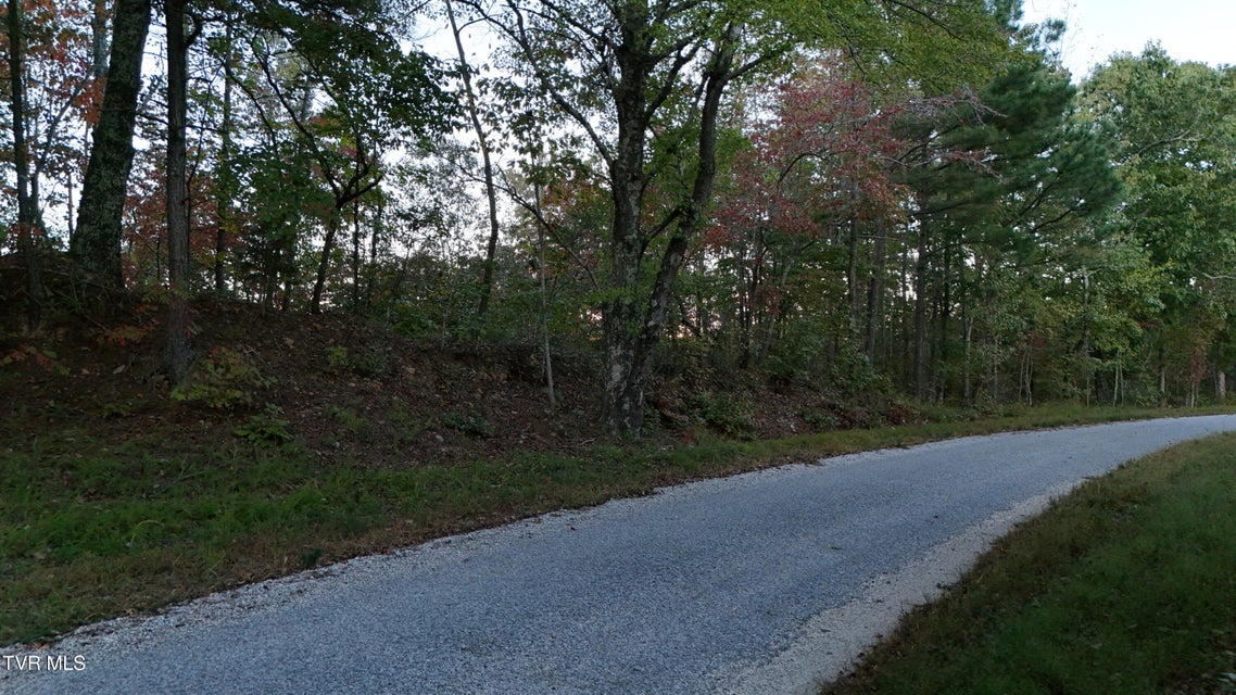 Photo #19: 0 Ward Hill Road