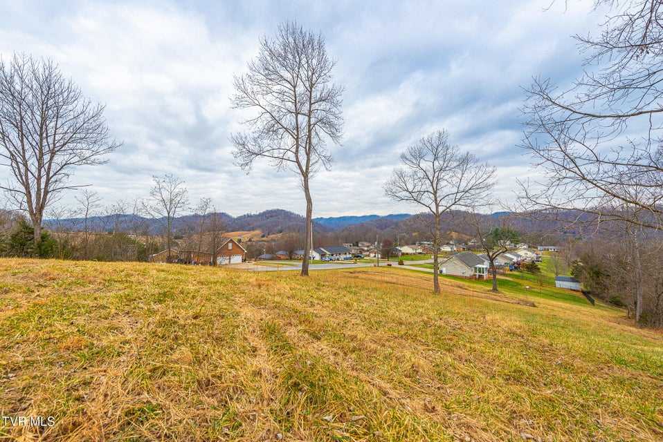 Photo #15: 0 Ohio Avenue