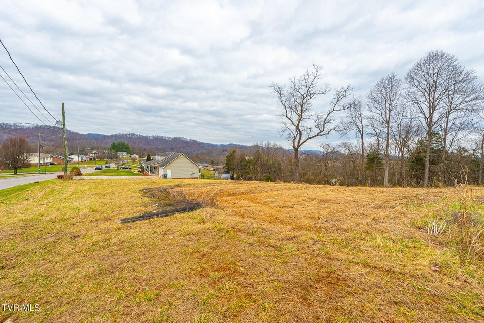 Photo #19: 0 Ohio Avenue