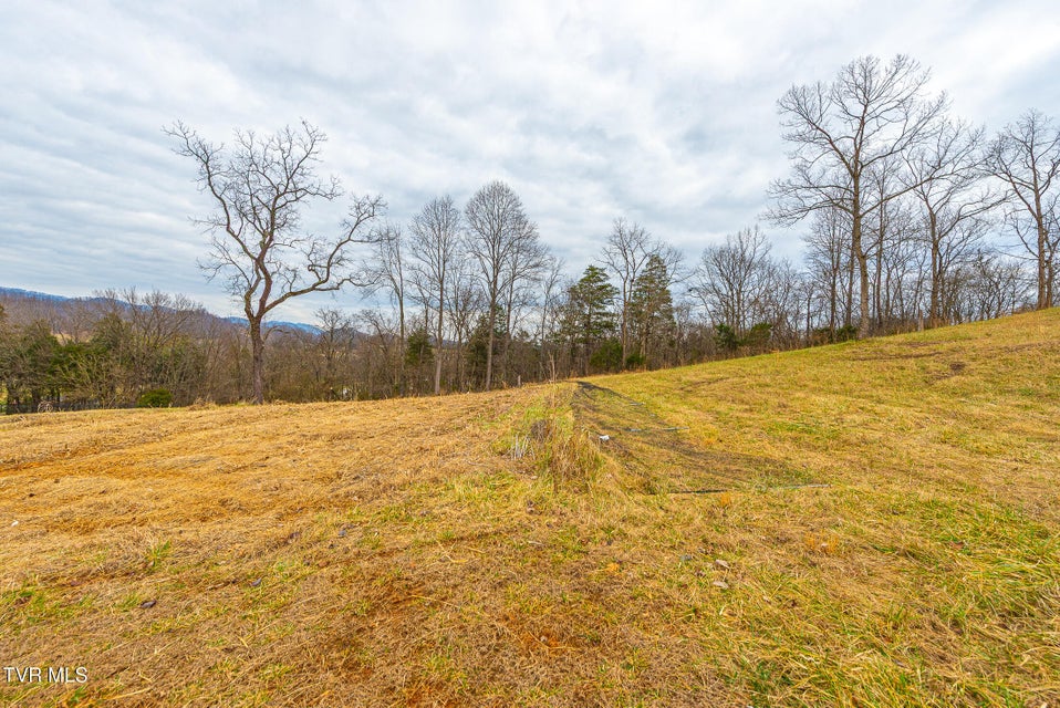 Photo #21: 0 Ohio Avenue