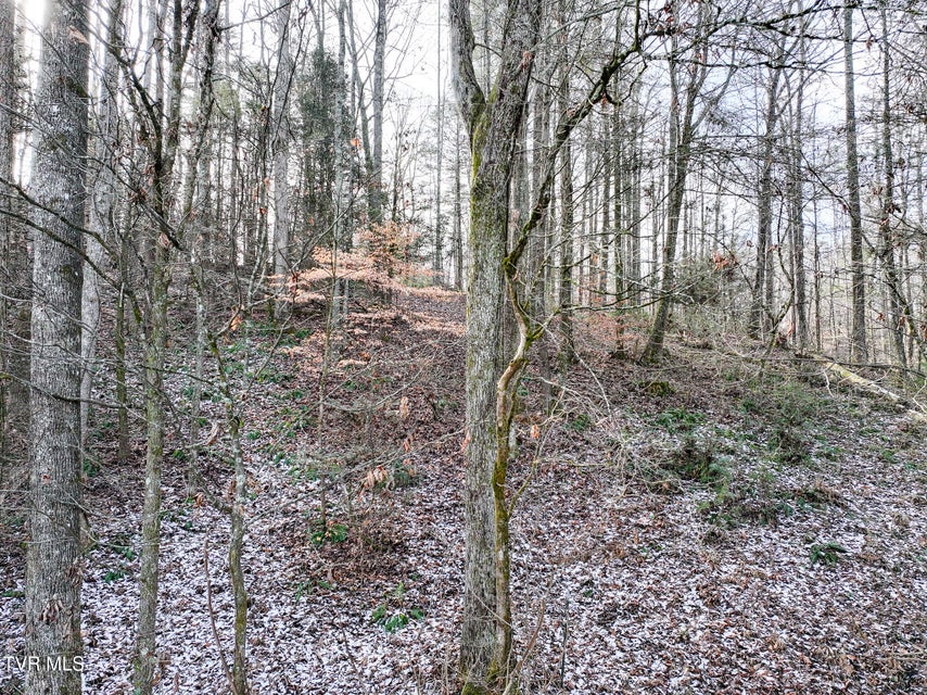 Photo #5: 875 Frank Roberts Road