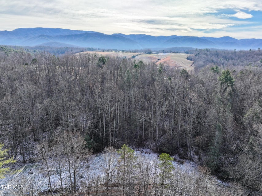 Photo #25: 875 Frank Roberts Road