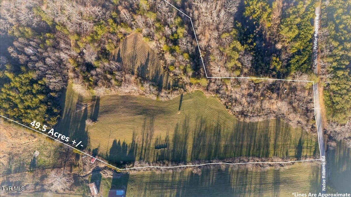 Photo #7: Tbd Nelse Roberts Road