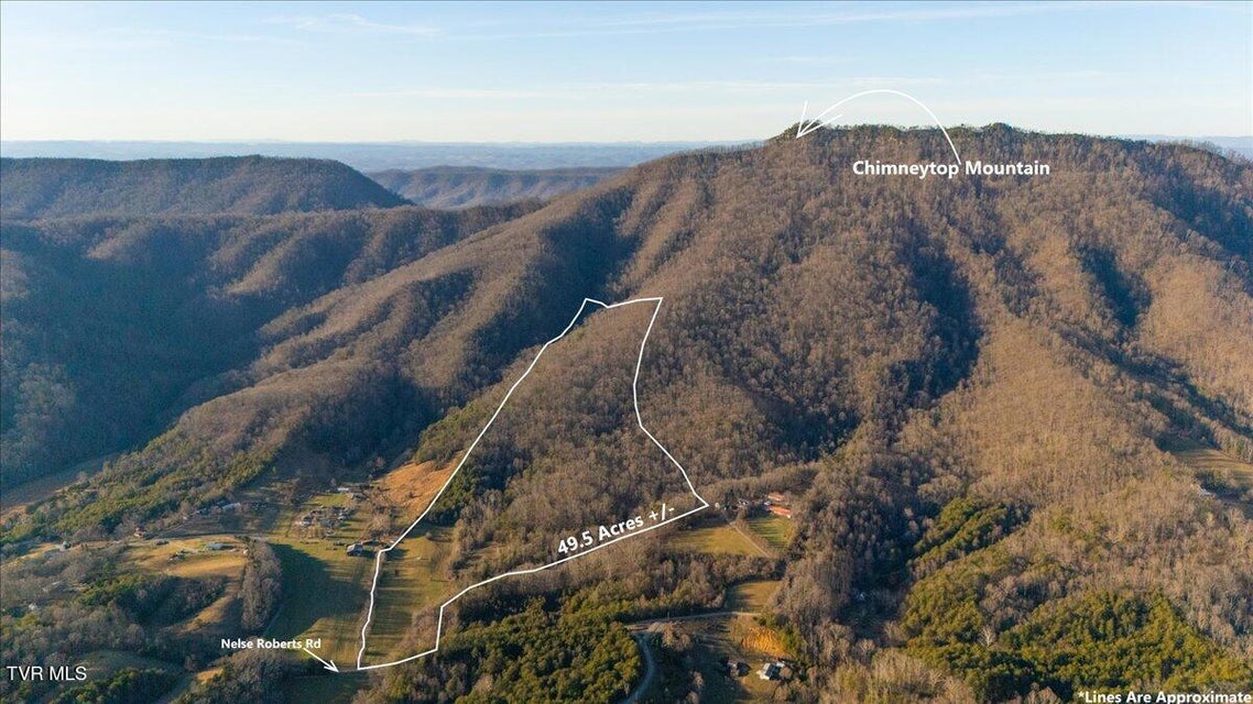 Photo #3: Tbd Nelse Roberts Road