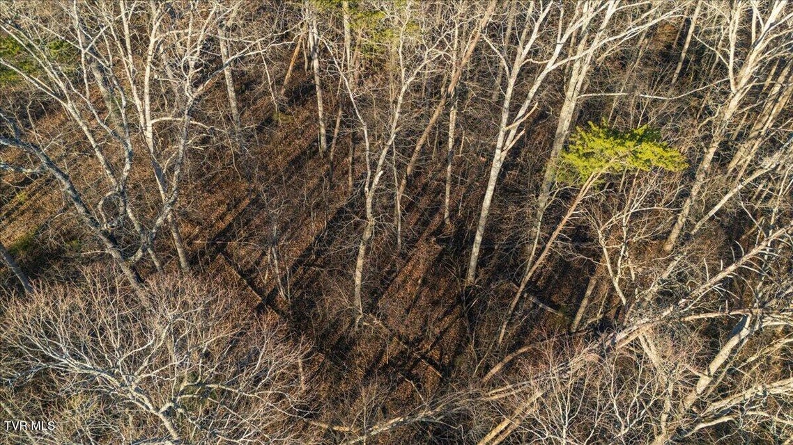 Photo #25: Tbd Nelse Roberts Road