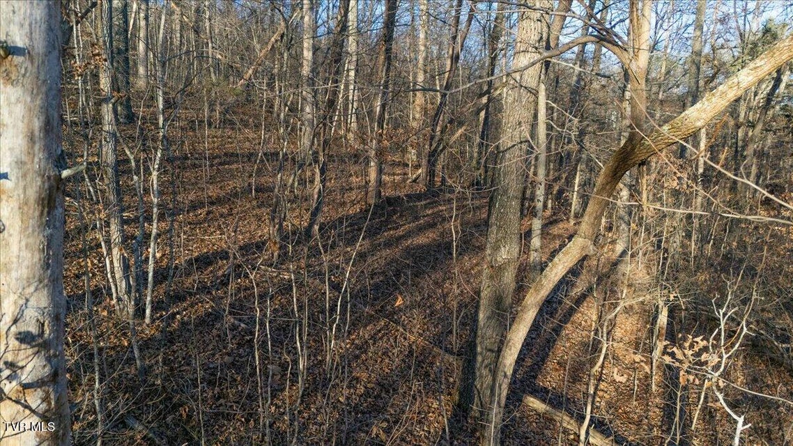 Photo #26: Tbd Nelse Roberts Road