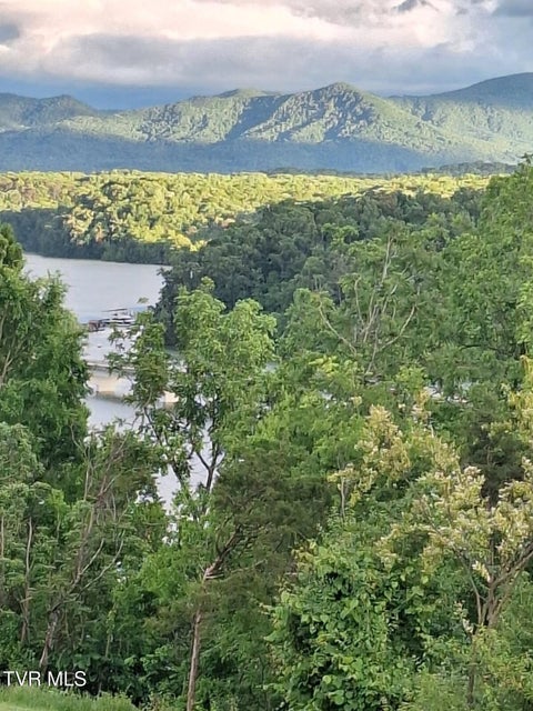 Photo #82: 260 Highway 113 