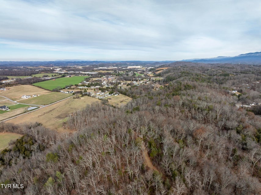 Photo #16: 355 Austin Springs Road