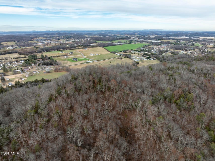 Photo #18: 355 Austin Springs Road